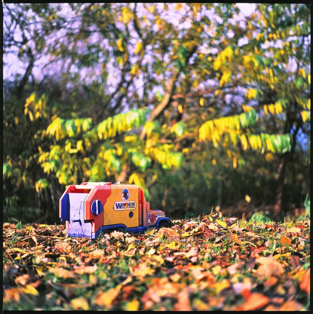herbstsee_yashica_mat-0006